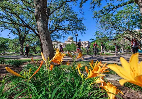 Students walk on Texas A&M University campus